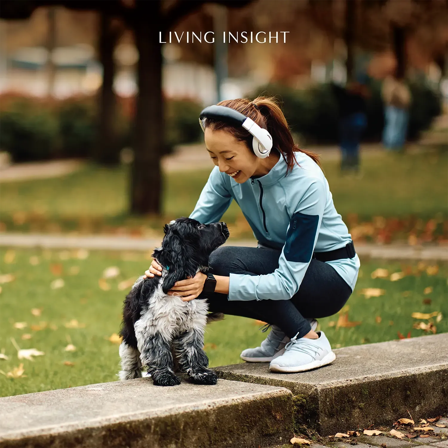 living insight