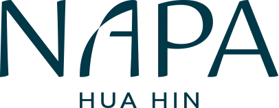 logo napa
