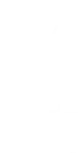 Vi Ari Logo
